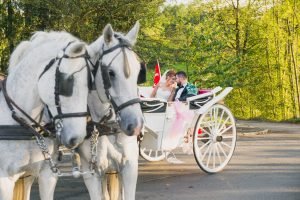 türkischer fotograf hochzeitsfotograf fotografiert türkisches brautpaar auf pferdekutsche in werdohl cici saray gelin ve damat payton dügün fotografcisi